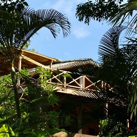 Eden Jungle Lodge Bocas Town Bagian luar foto