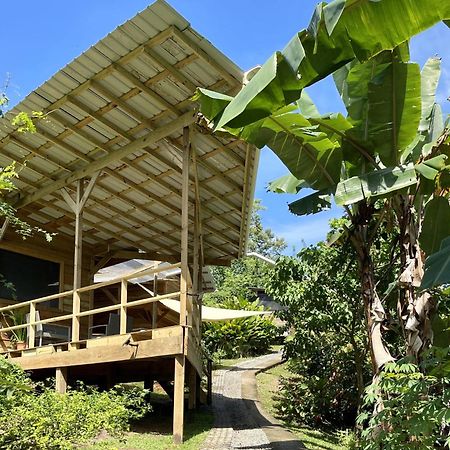 Eden Jungle Lodge Bocas Town Bagian luar foto