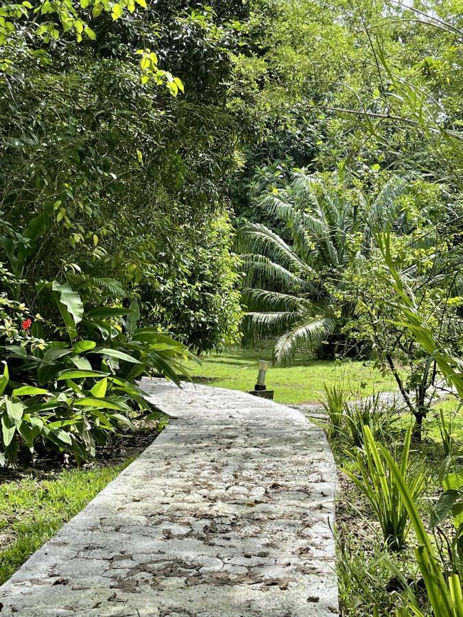 Eden Jungle Lodge Bocas Town Bagian luar foto