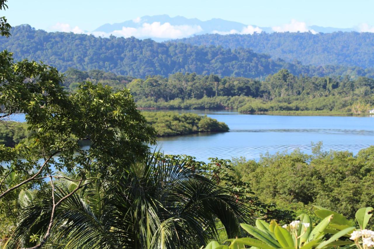 Eden Jungle Lodge Bocas Town Bagian luar foto