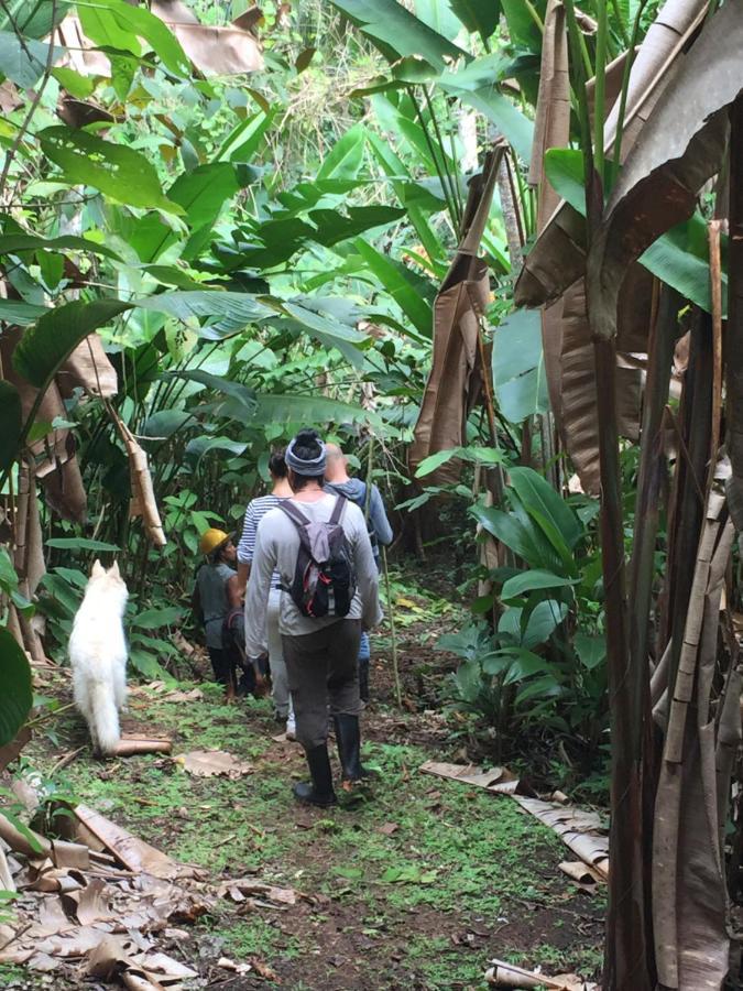 Eden Jungle Lodge Bocas Town Bagian luar foto