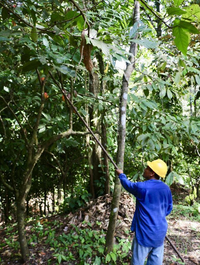 Eden Jungle Lodge Bocas Town Bagian luar foto