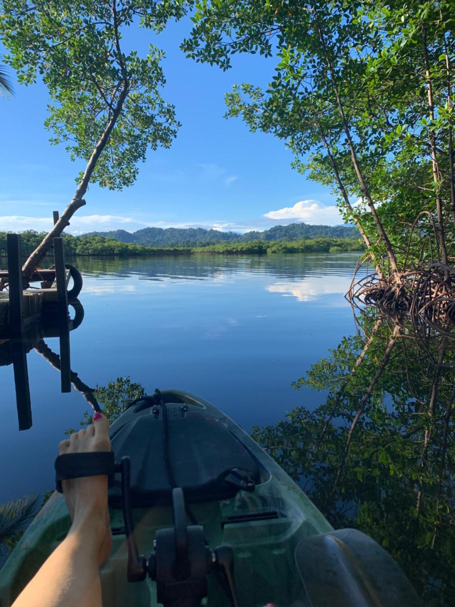 Eden Jungle Lodge Bocas Town Bagian luar foto