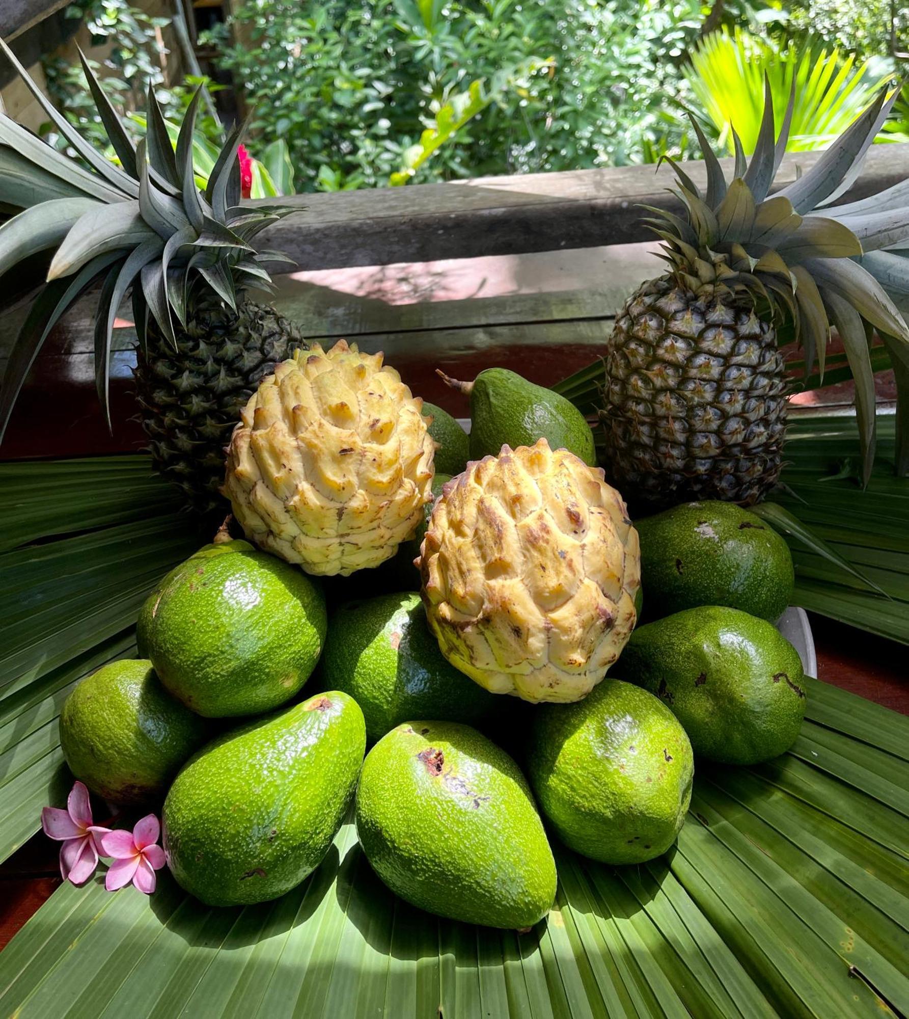 Eden Jungle Lodge Bocas Town Bagian luar foto