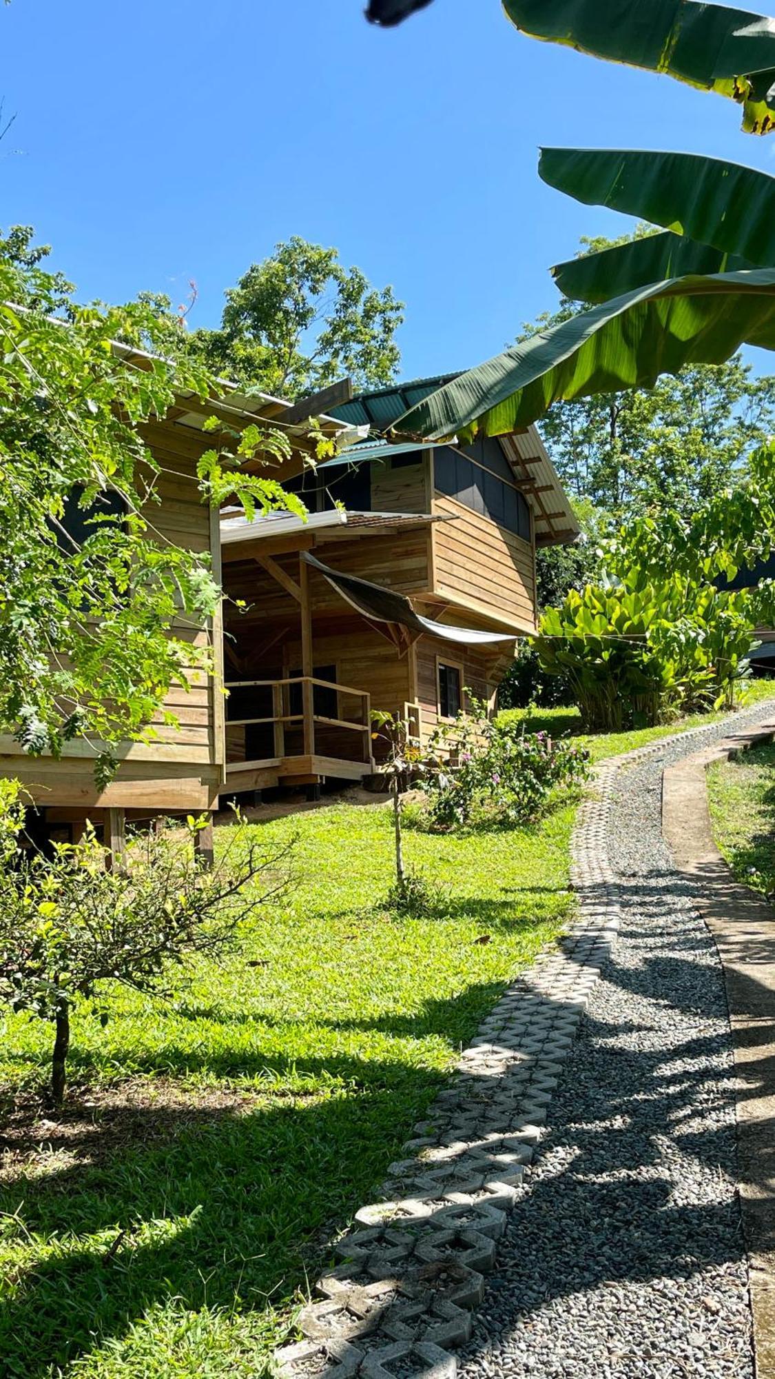 Eden Jungle Lodge Bocas Town Bagian luar foto