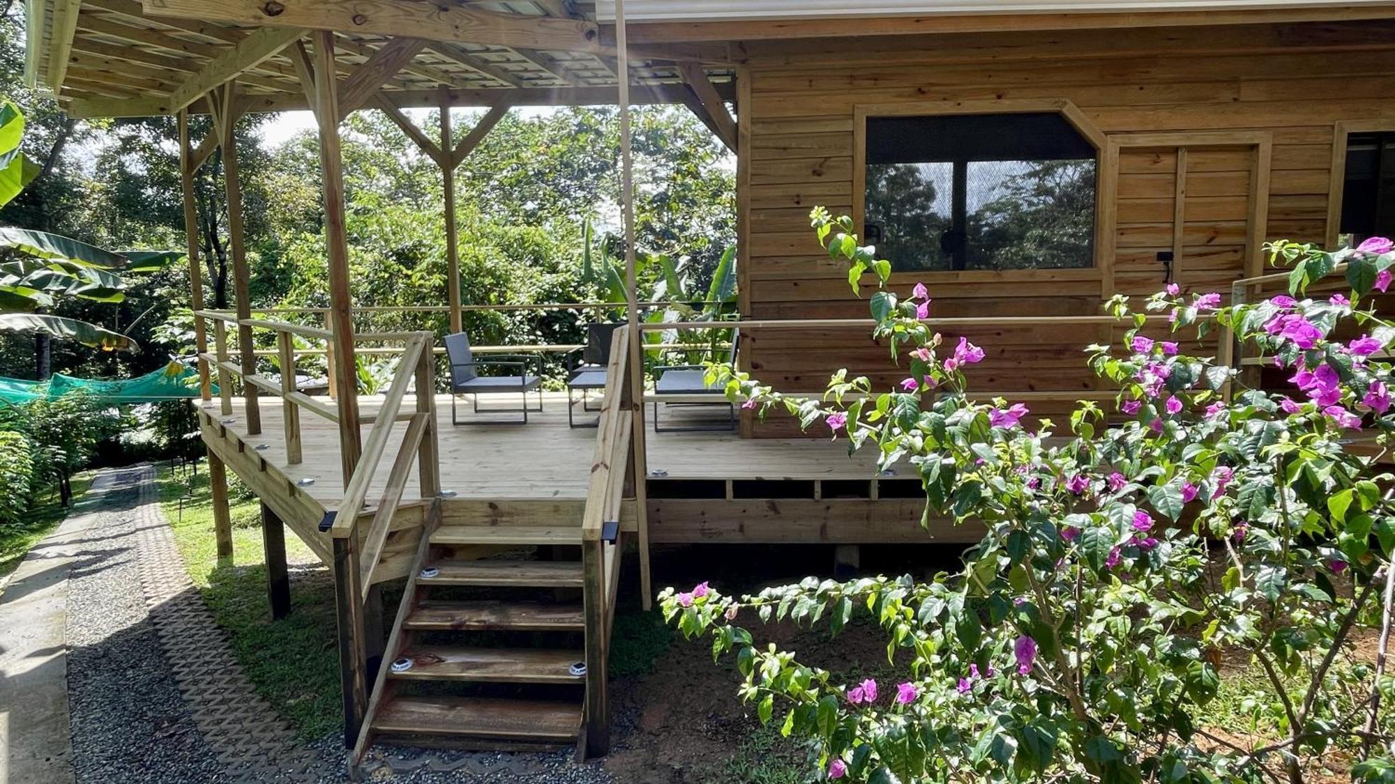Eden Jungle Lodge Bocas Town Bagian luar foto