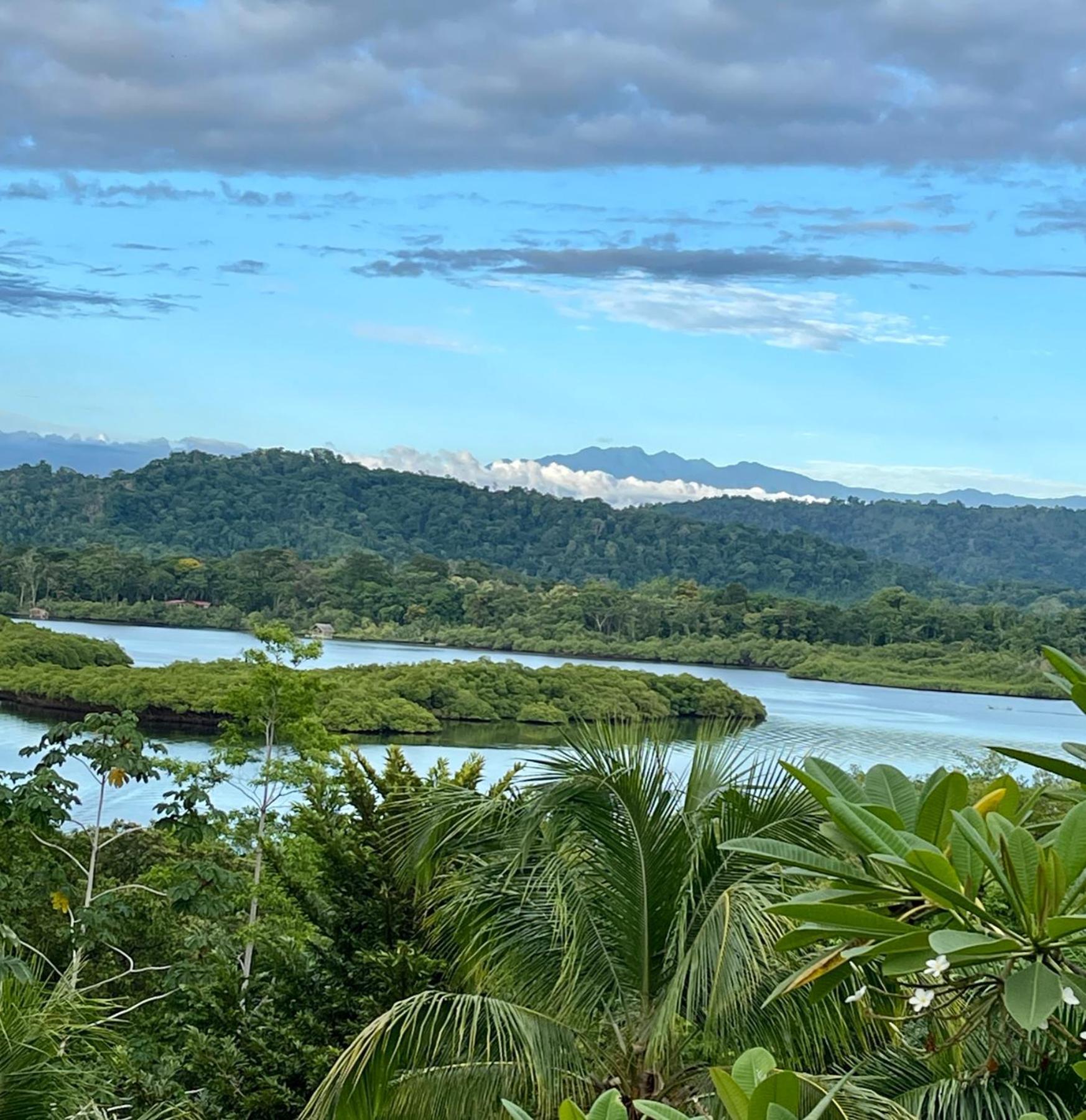Eden Jungle Lodge Bocas Town Bagian luar foto